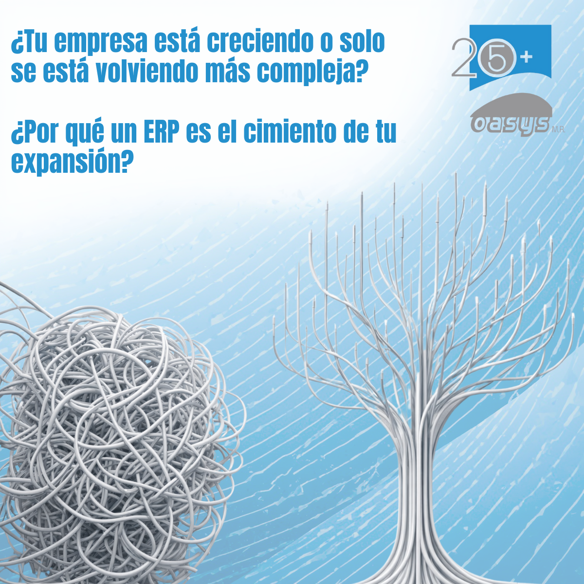 ¿Tu empresa está creciendo?